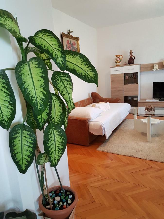 Apartment Marija & Iko تروغير المظهر الخارجي الصورة