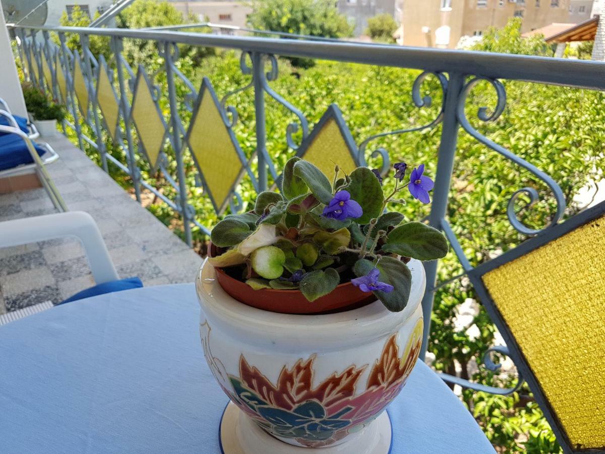 Apartment Marija & Iko تروغير المظهر الخارجي الصورة